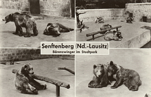 Senftenberg